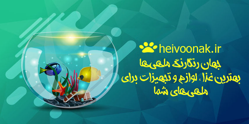 ماهی و آبزیان