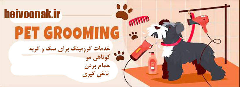 گرومینگ سگ و گربه