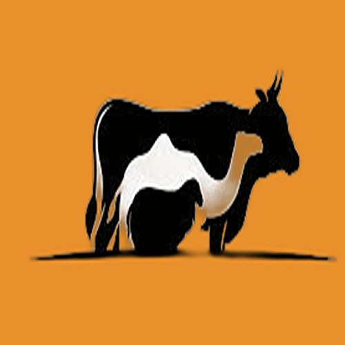 گاو، گوسفند و شتر