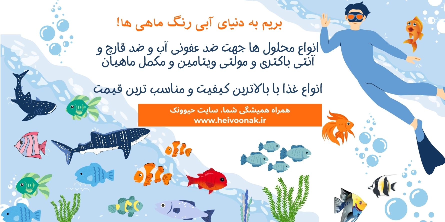 معرفی غذای ماهی